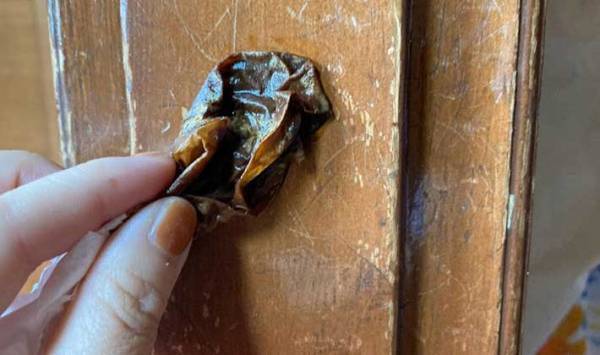 木の家具や柱のキズを目立たなくしたい！　意外すぎる２つの方法に「キズどこにあった？」「感動」