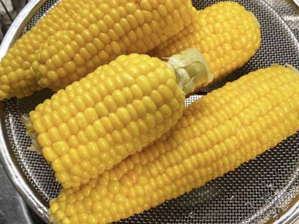 トウモロコシへの情熱がすごい男性　考案した『ヒット商品』に「もう歯に詰まらない！」