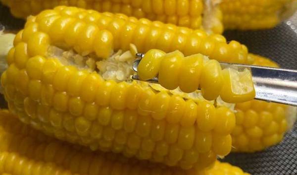 トウモロコシへの情熱がすごい男性　考案した『ヒット商品』に「もう歯に詰まらない！」