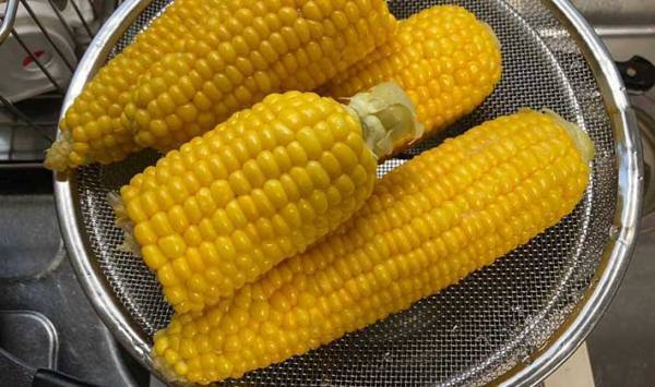 トウモロコシへの情熱がすごい男性　考案した『ヒット商品』に「もう歯に詰まらない！」