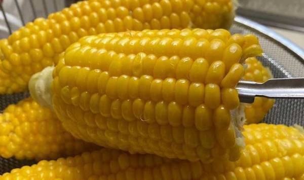 トウモロコシへの情熱がすごい男性　考案した『ヒット商品』に「もう歯に詰まらない！」