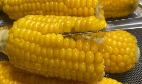 トウモロコシへの情熱がすごい男性　考案した『ヒット商品』に「もう歯に詰まらない！」