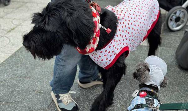 待ちに待った『犬のイベント』の撮影タイム　飼い主がズッコケた理由とは？