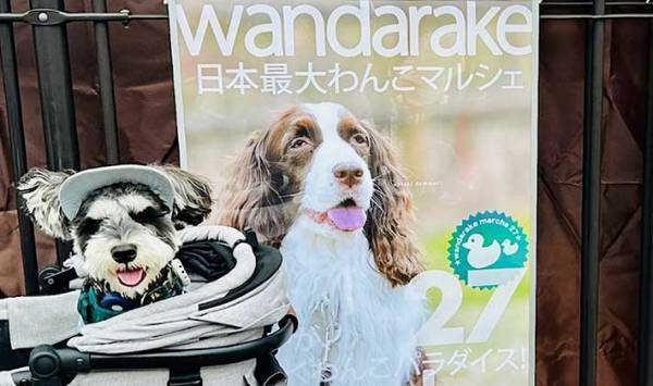 待ちに待った『犬のイベント』の撮影タイム　飼い主がズッコケた理由とは？