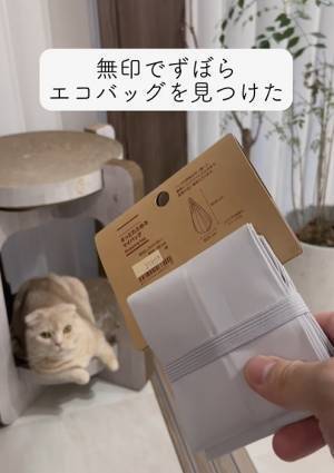 圧倒的に畳みやすい無印エコバッグに「コレ欲しい」　引っ張って折るだけで？