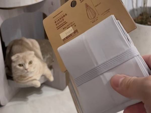 圧倒的に畳みやすい無印エコバッグに「コレ欲しい」　引っ張って折るだけで？