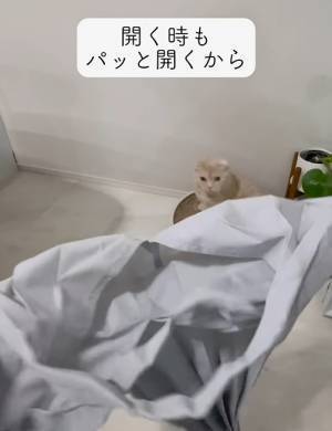 圧倒的に畳みやすい無印エコバッグに「コレ欲しい」　引っ張って折るだけで？