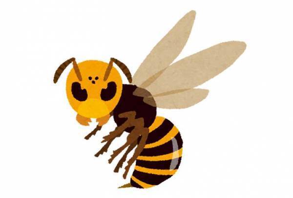 「ママ、変な音がする」　缶ビールを指差した息子　中をのぞくと「怖すぎ」「コレは気を付けたい」