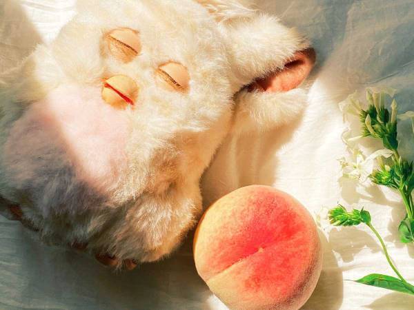 懐かしのおもちゃを、やけにエモい構図で収めた写真をご覧ください