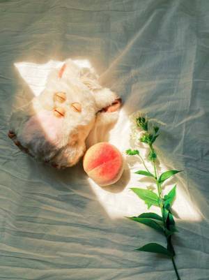 懐かしのおもちゃを、やけにエモい構図で収めた写真をご覧ください