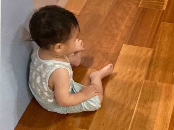 「何の会議かな？」　猫２匹、子供１人の三者面談の様子がネットで話題に