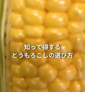 本当においしいトウモロコシの選び方に「勉強になる」「役に立った」