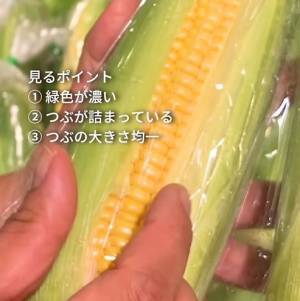 本当においしいトウモロコシの選び方に「勉強になる」「役に立った」