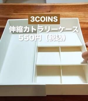 カトラリー収納ケースがわずか５５０円で！？　３COINSの新アイテムがコスパ抜群