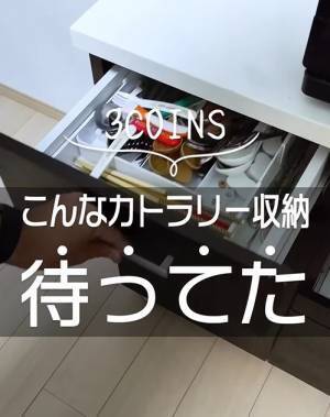カトラリー収納ケースがわずか５５０円で！？　３COINSの新アイテムがコスパ抜群
