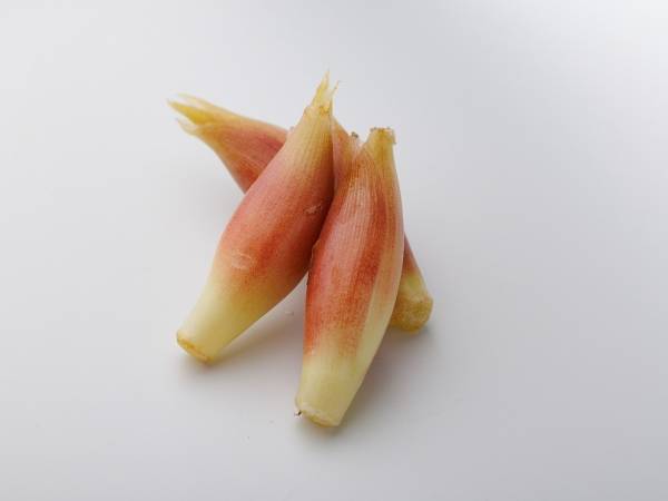 夏の薬味「ミョウガ」は○○を使って保存！　いつでも使える便利テクとは
