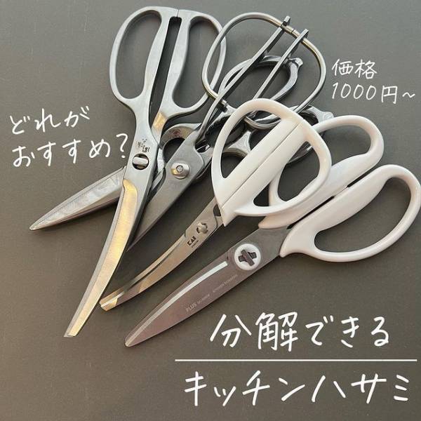 一番優秀なキッチンバサミはどれ？　結果に「そんな違いが」「わかりやすい！」