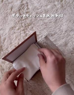 １００均でまさかのシンデレラフィット！　ポケットティッシュをおしゃれに収納する方法が「かわいい」