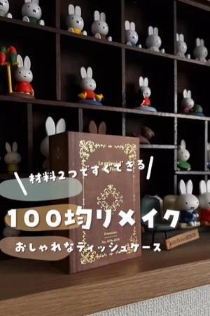 １００均でまさかのシンデレラフィット！　ポケットティッシュをおしゃれに収納する方法が「かわいい」