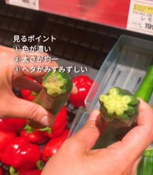 夏の旬野菜、ズッキーニ　失敗しない選び方に「初めて知った」「そこ見るのか」