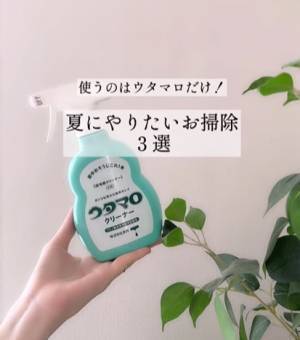 「お掃除スイッチ入った」「これならできる」　夏に片付けたい３つの掃除箇所とは