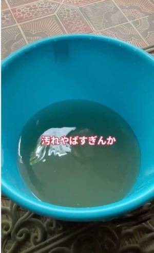 見落としがちな玄関掃除に最適　カインズ発洗剤いらずの魔法のスポンジとは