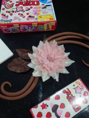 プロによる『知育菓子』に「そうはならんやろ！」　アポロを手作りできるキットのはずが？