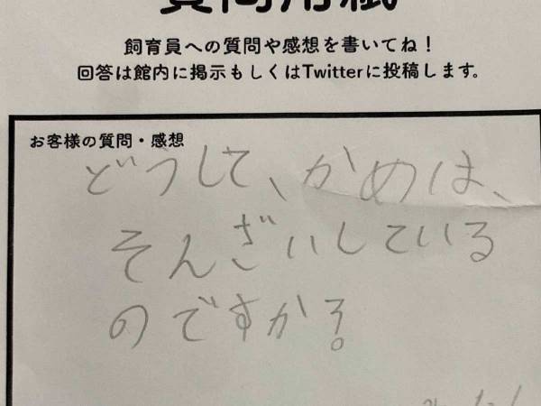 「どうしてカメが存在するの」　子供からの質問に飼育員は？　「コレは名回答」「真理をついてる」