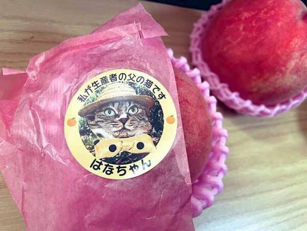 桃に貼られた『生産者シール』が話題に 顔写真になっていたのは 