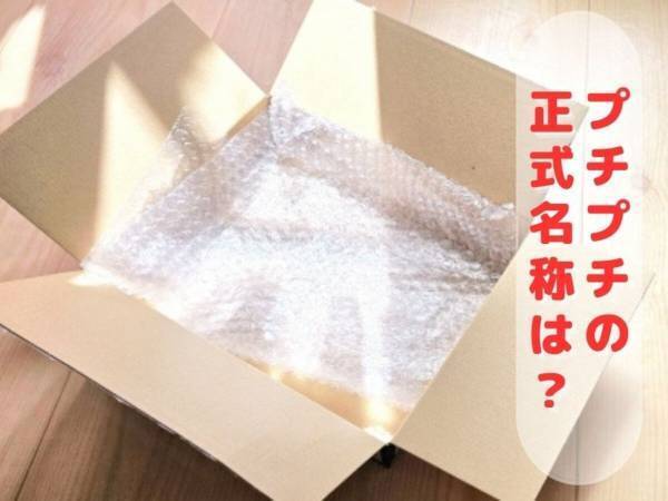 想像したソレは間違いかも？　これの正式名称、知ってる？【クイズ】