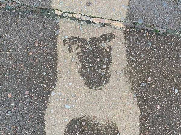 ある日突然現れた『謎の跡』　意外な正体に「かわいい！」「まさにアート」