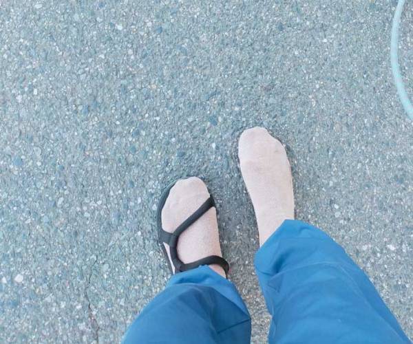 「経緯が気になる」「笑ってはいけない」　散歩中に愛犬が…