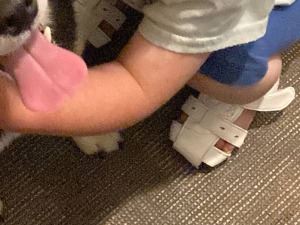 ２歳にして『柴吸い』の魅力にハマった女の子　その姿がコチラです！