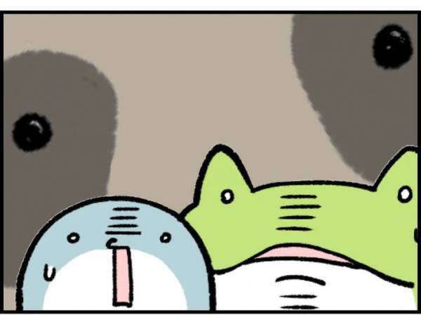 子供「変なシワシワの動物がいる！」　遭遇した生物の正体に「かわいそう」「謎が解けた」