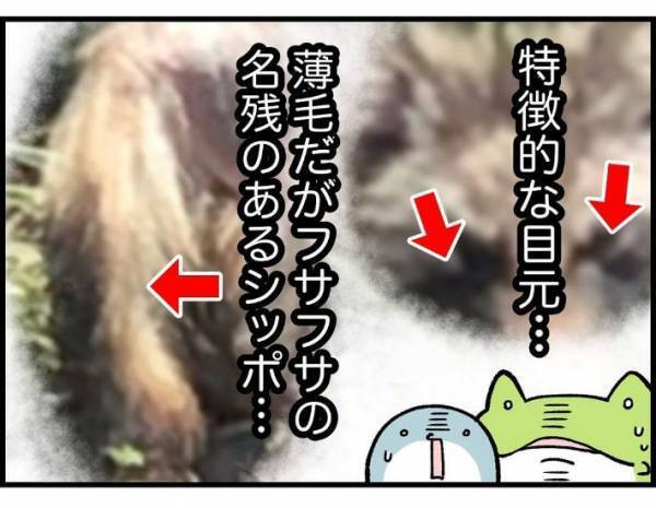 子供「変なシワシワの動物がいる！」　遭遇した生物の正体に「かわいそう」「謎が解けた」