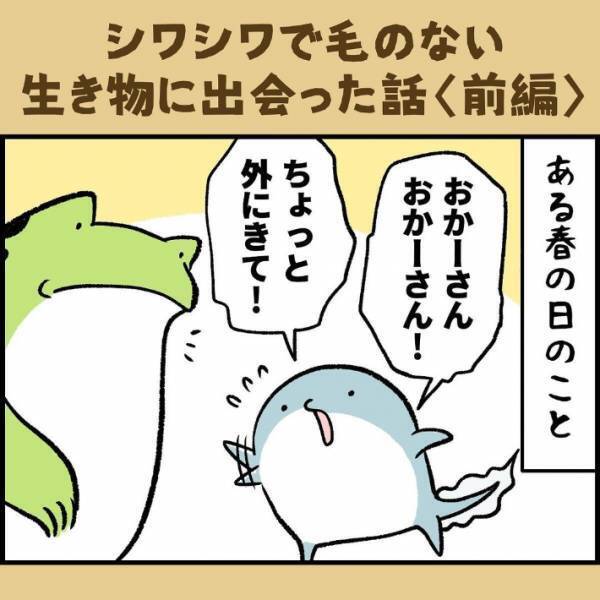 子供「変なシワシワの動物がいる！」　遭遇した生物の正体に「かわいそう」「謎が解けた」