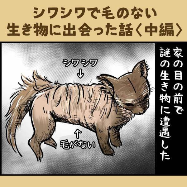 子供「変なシワシワの動物がいる！」　遭遇した生物の正体に「かわいそう」「謎が解けた」