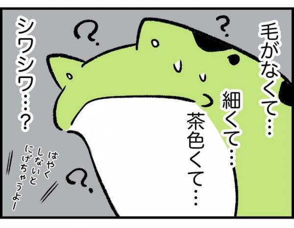 子供「変なシワシワの動物がいる！」　遭遇した生物の正体に「かわいそう」「謎が解けた」