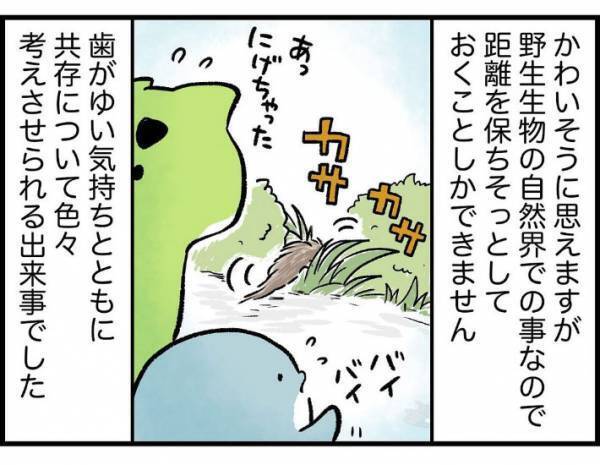 子供「変なシワシワの動物がいる！」　遭遇した生物の正体に「かわいそう」「謎が解けた」
