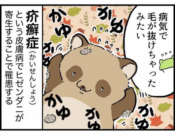 子供「変なシワシワの動物がいる！」　遭遇した生物の正体に「かわいそう」「謎が解けた」