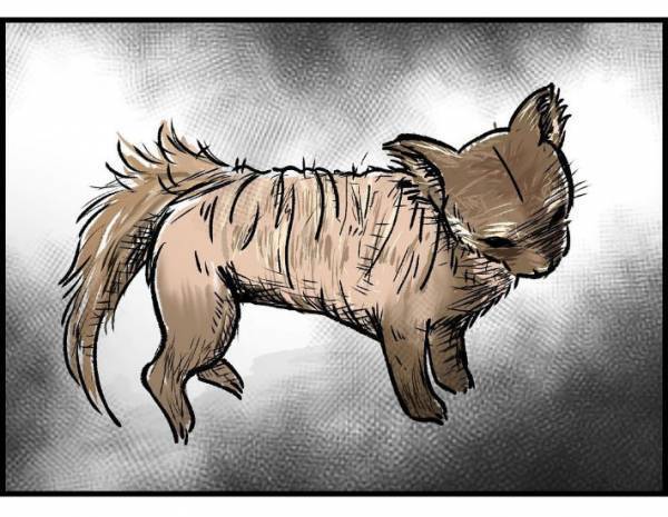 子供「変なシワシワの動物がいる！」　遭遇した生物の正体に「かわいそう」「謎が解けた」