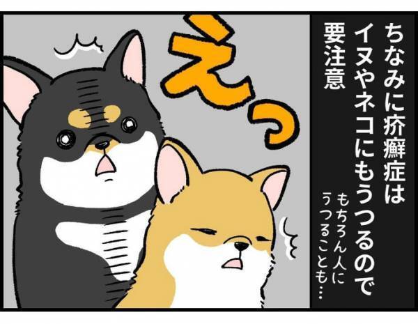 子供「変なシワシワの動物がいる！」　遭遇した生物の正体に「かわいそう」「謎が解けた」