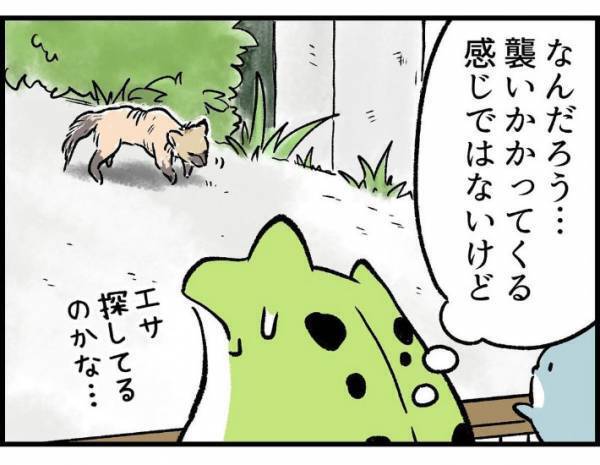 子供「変なシワシワの動物がいる！」　遭遇した生物の正体に「かわいそう」「謎が解けた」