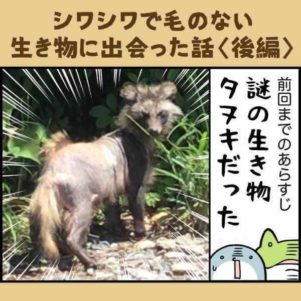 子供「変なシワシワの動物がいる！」　遭遇した生物の正体に「かわいそう」「謎が解けた」