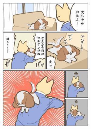 飼い主にハグされた犬が、その直後？　展開に「もういいにしても…」