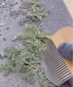 真夏の草刈りはコレで一発　手強い雑草を一瞬で片付ける便利商品に「これすごい」「ゲットしよ！」