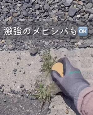 真夏の草刈りはコレで一発　手強い雑草を一瞬で片付ける便利商品に「これすごい」「ゲットしよ！」