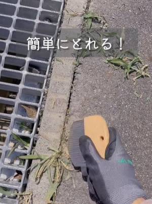 真夏の草刈りはコレで一発　手強い雑草を一瞬で片付ける便利商品に「これすごい」「ゲットしよ！」