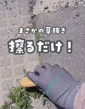 真夏の草刈りはコレで一発　手強い雑草を一瞬で片付ける便利商品に「これすごい」「ゲットしよ！」