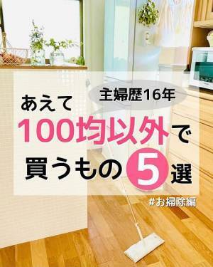 ベテラン主婦があえて１００均以外で買う掃除グッズ５選　「一緒です」「私も」